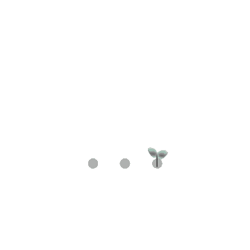 Loading animation